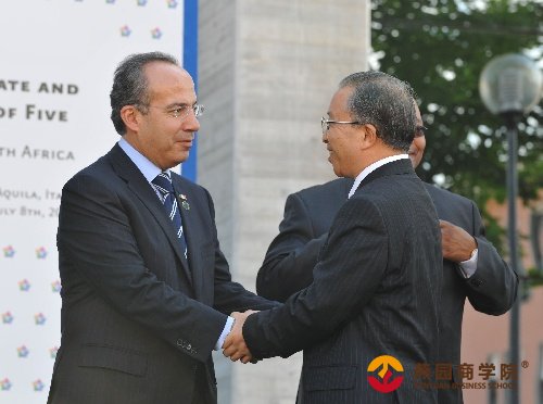 发展中五国举行峰会 戴秉国代表胡锦涛参加(图)